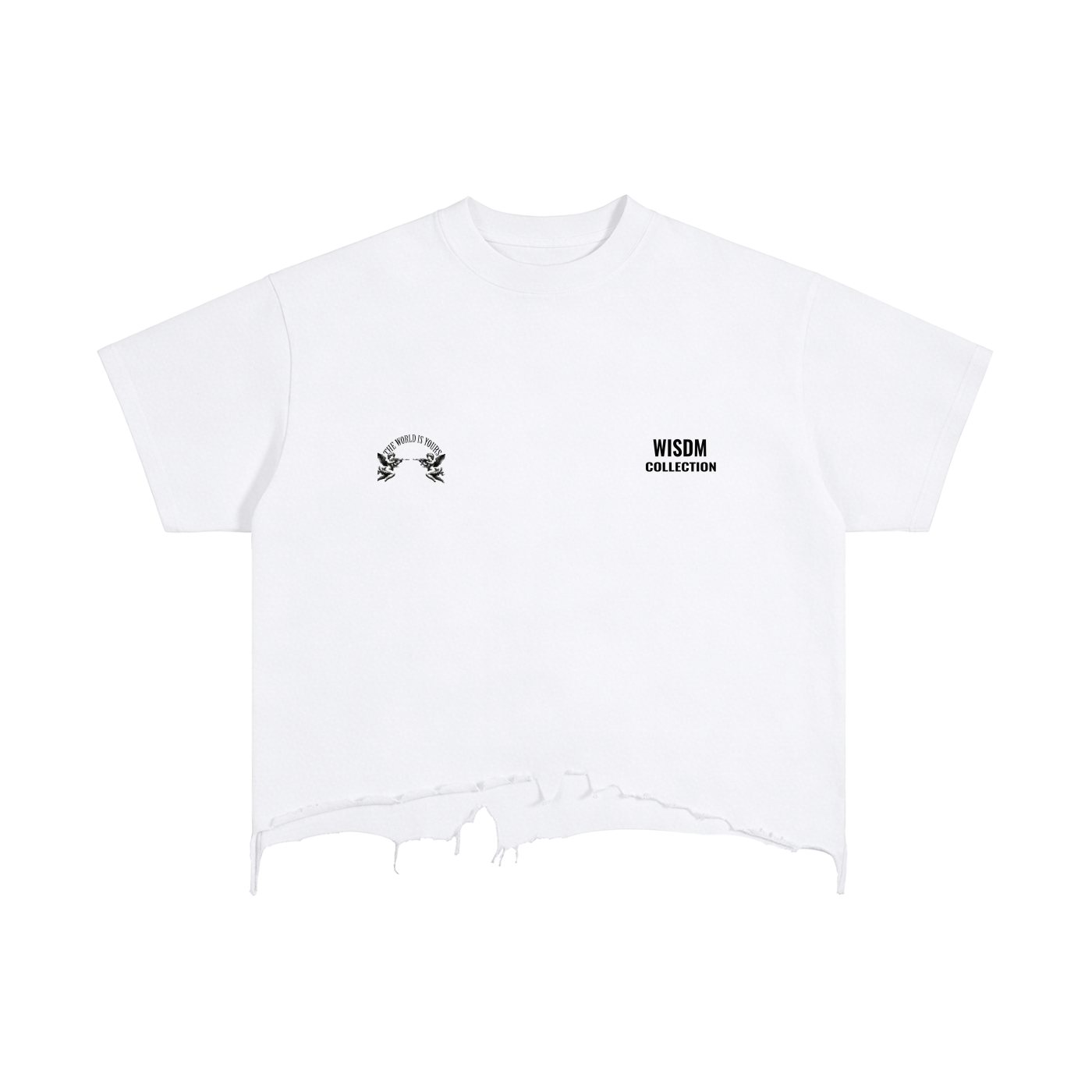 WISDM COLLECTION