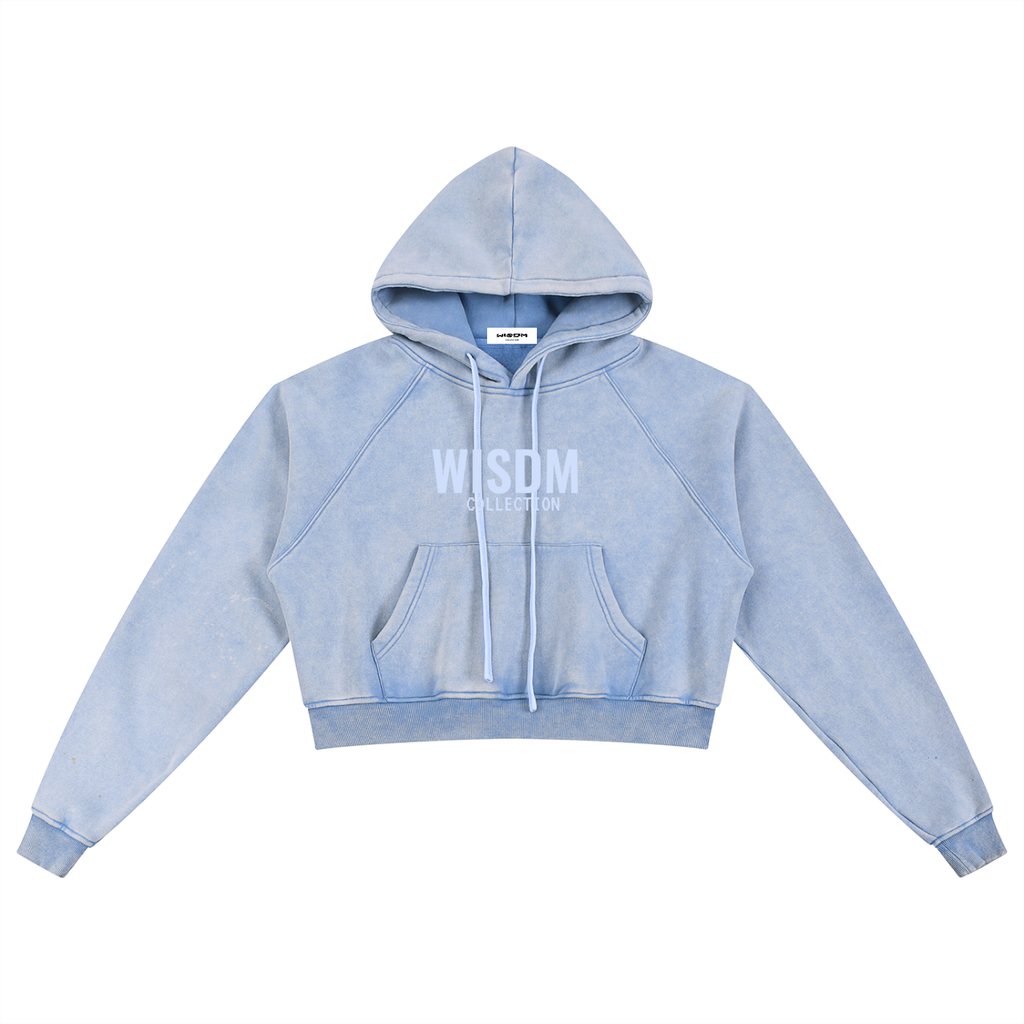 WISDM COLLECTION